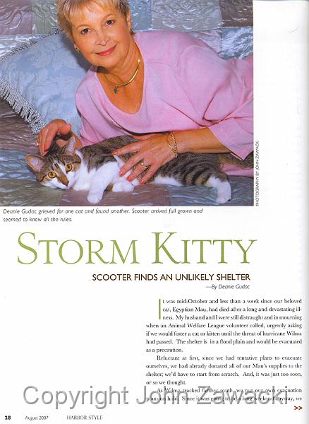 Storm Kitty1.jpg